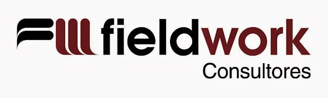 Fieldwork Consultores