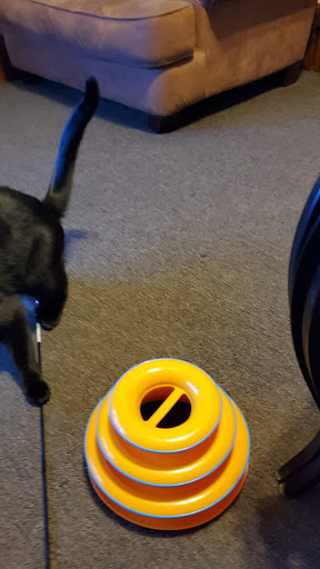 Pet Supply Store «Petco Animal Supplies», reviews and photos, 438 Southbridge St, Auburn, MA 01501, USA