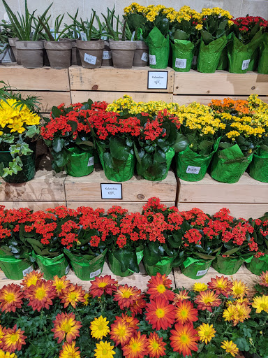 Grocery Store «The Fresh Market», reviews and photos, 12628 Tamiami Trail E, Naples, FL 34113, USA