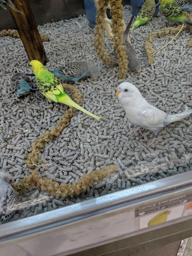 Pet Supply Store «Petco Animal Supplies», reviews and photos, 1215-1309 NJ-33 #1, Hamilton Township, NJ 08690, USA