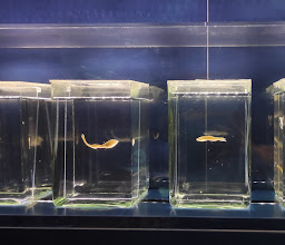 Aquarium GEOMAR photo