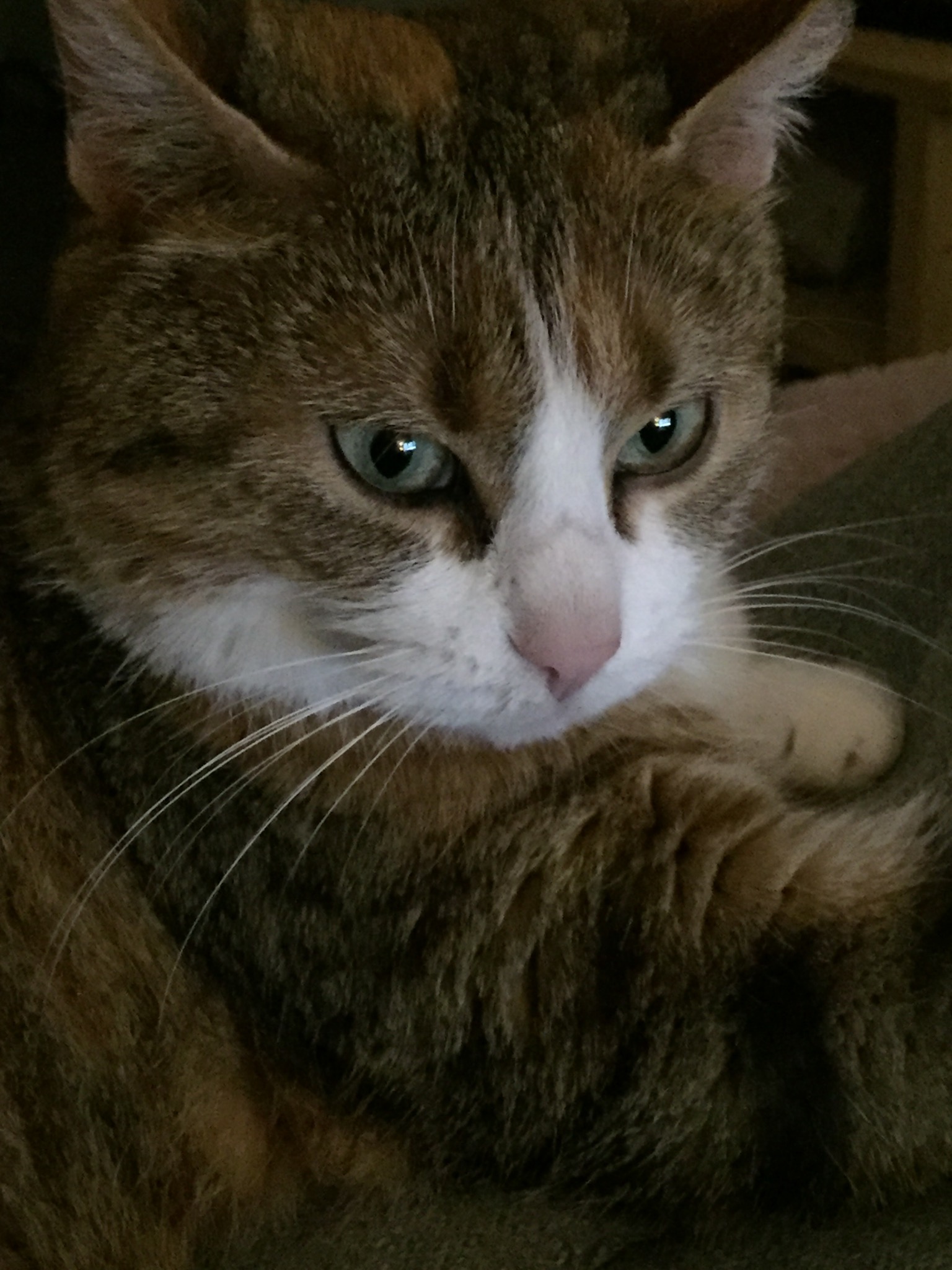 Photo n° 1 de l'avis de Marcel.o fait le 01/03/2019 à 08:36