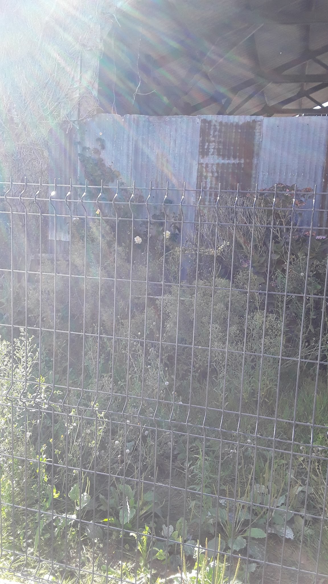 Photo n° 6 de l'avis de Claudine.i fait le 22/09/2019 à 14:47