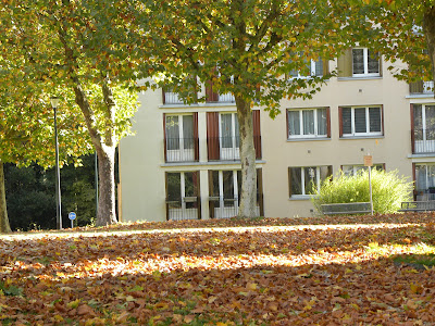 Cabinet Médical Réveillaud à Bièvres