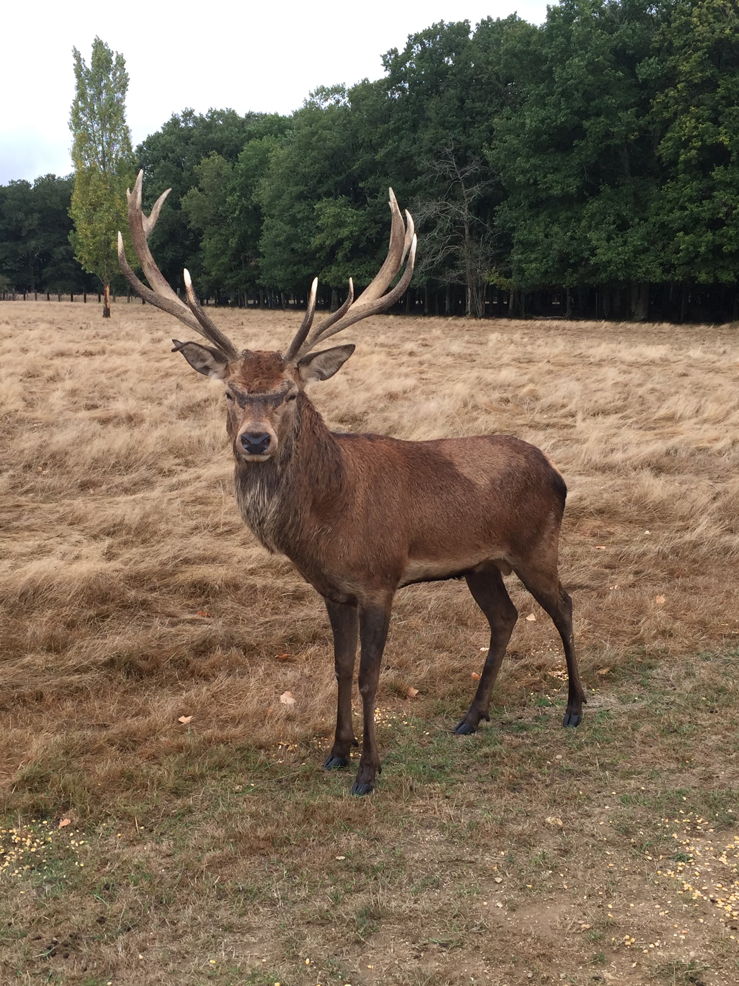 Photo n° 2 de l'avis de Charlène.s fait le 25/01/2024 à 20:18