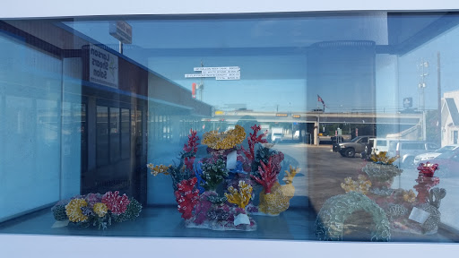 Pet Store «Aquarium Designs», reviews and photos, 15229 San Pedro Ave, San Antonio, TX 78232, USA