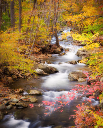 National Park «Shenandoah National Park», reviews and photos
