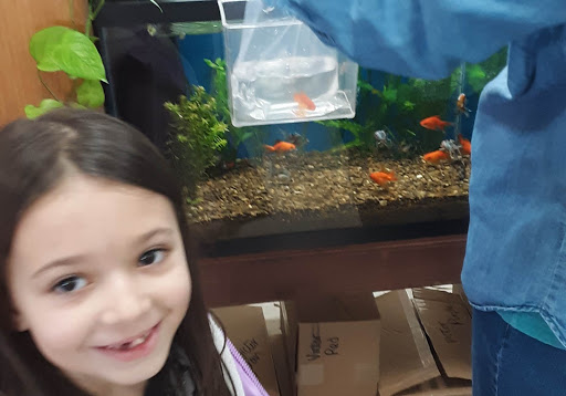 Pet Store «Pet Time», reviews and photos, 3141 W 11th Ave, Eugene, OR 97402, USA