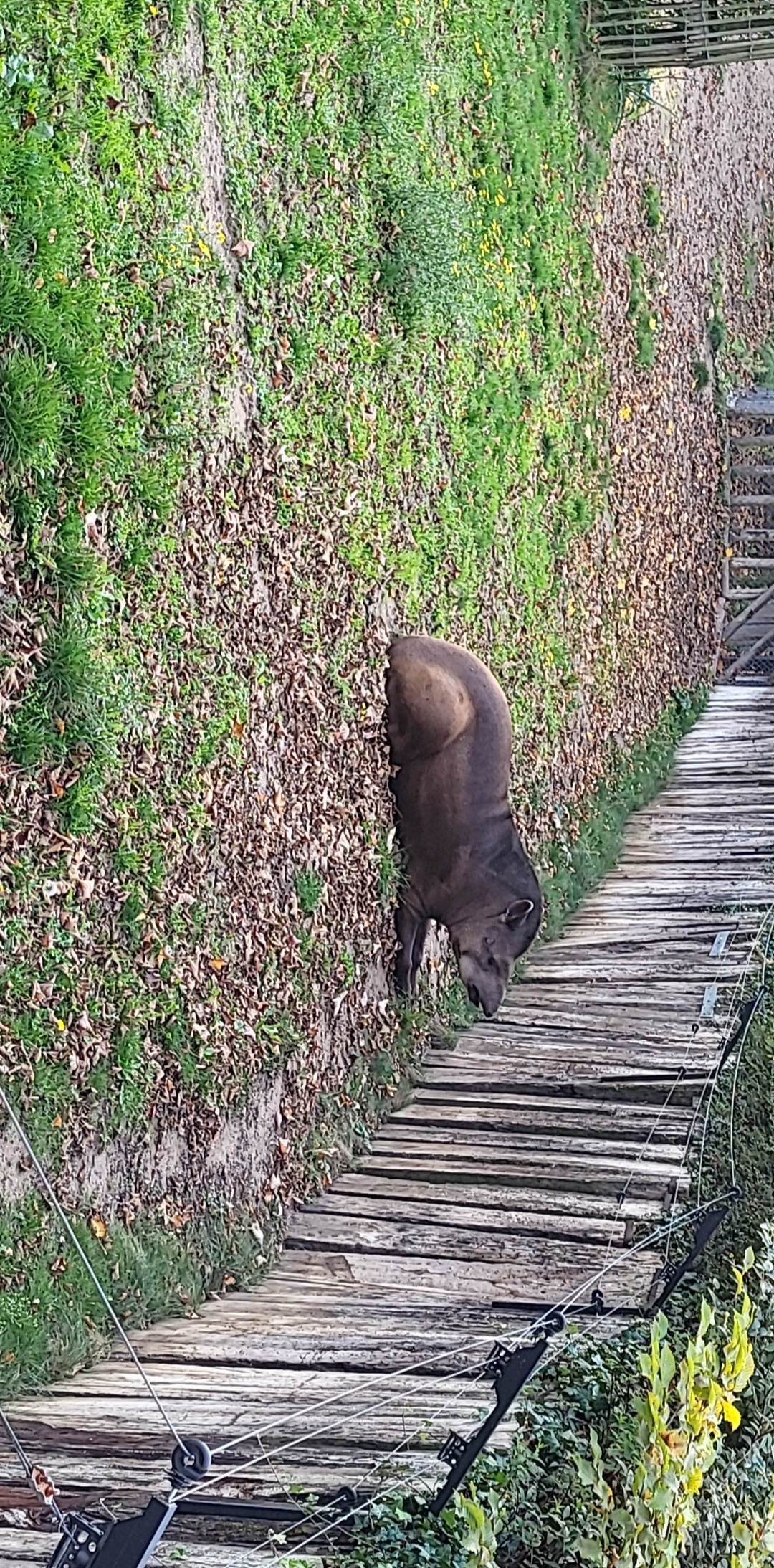 Photo n° 7 de l'avis de Jennifer.a fait le 11/11/2022 à 12:11