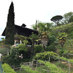 Photo n°2 de l'avis de emolino.e fait le 07/05/2023 à 11:39 sur le  Saxifraga à Tirol