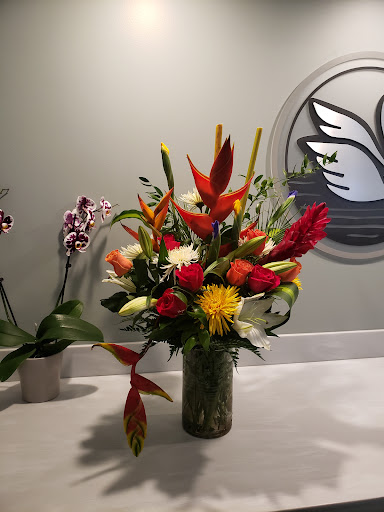 Florist «Merrimon Florist Inc», reviews and photos, 329 Merrimon Ave, Asheville, NC 28801, USA