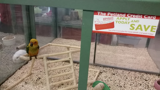 Pet Store «Petland Plano», reviews and photos, 1301 Custer Rd #405, Plano, TX 75075, USA
