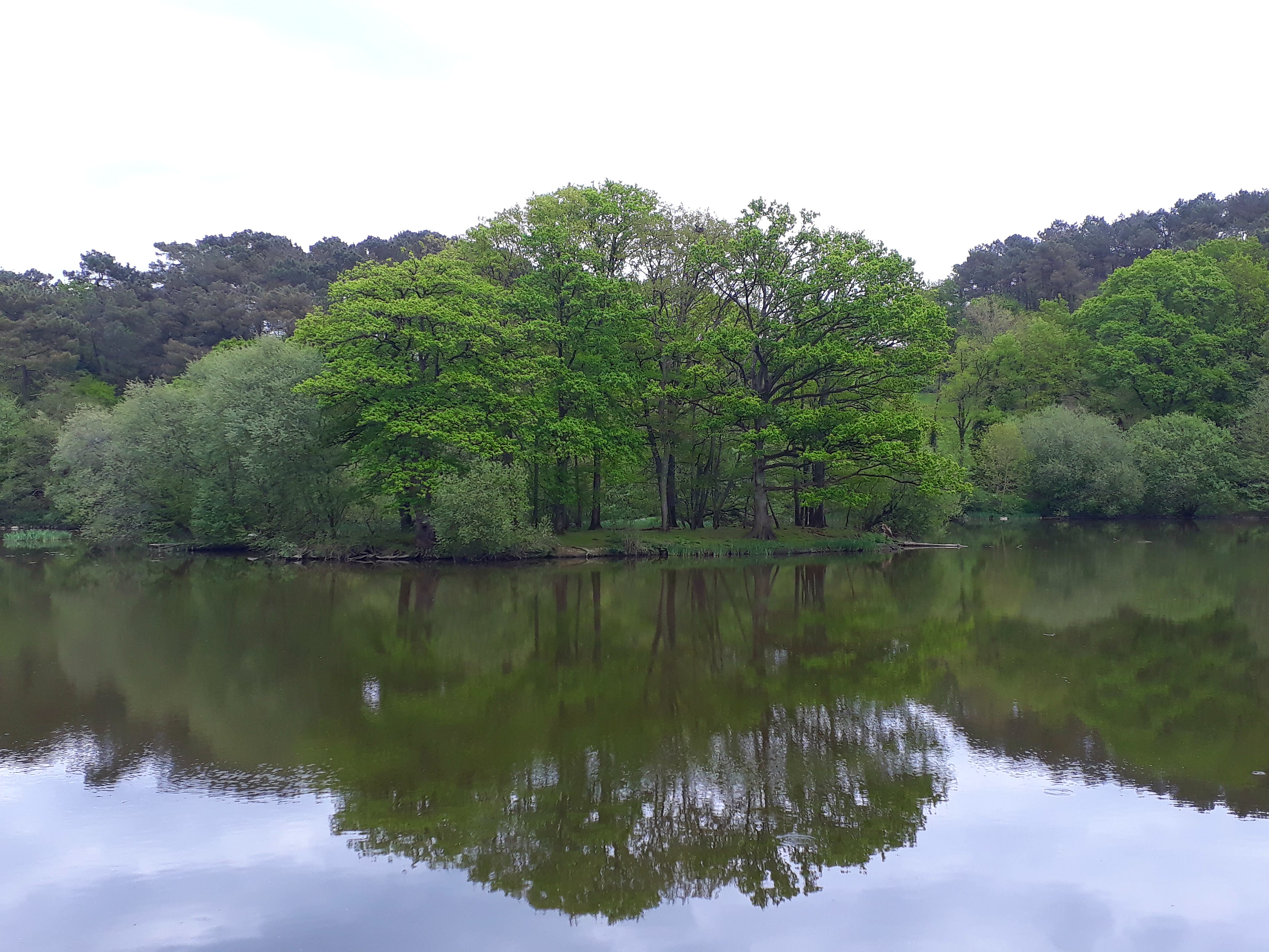 Photo n° 3 de l'avis de Florent.i fait le 24/04/2018 à 16:58