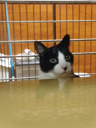 Pet Supply Store «PetSmart», reviews and photos, 10 Hazard Ave, Enfield, CT 06082, USA