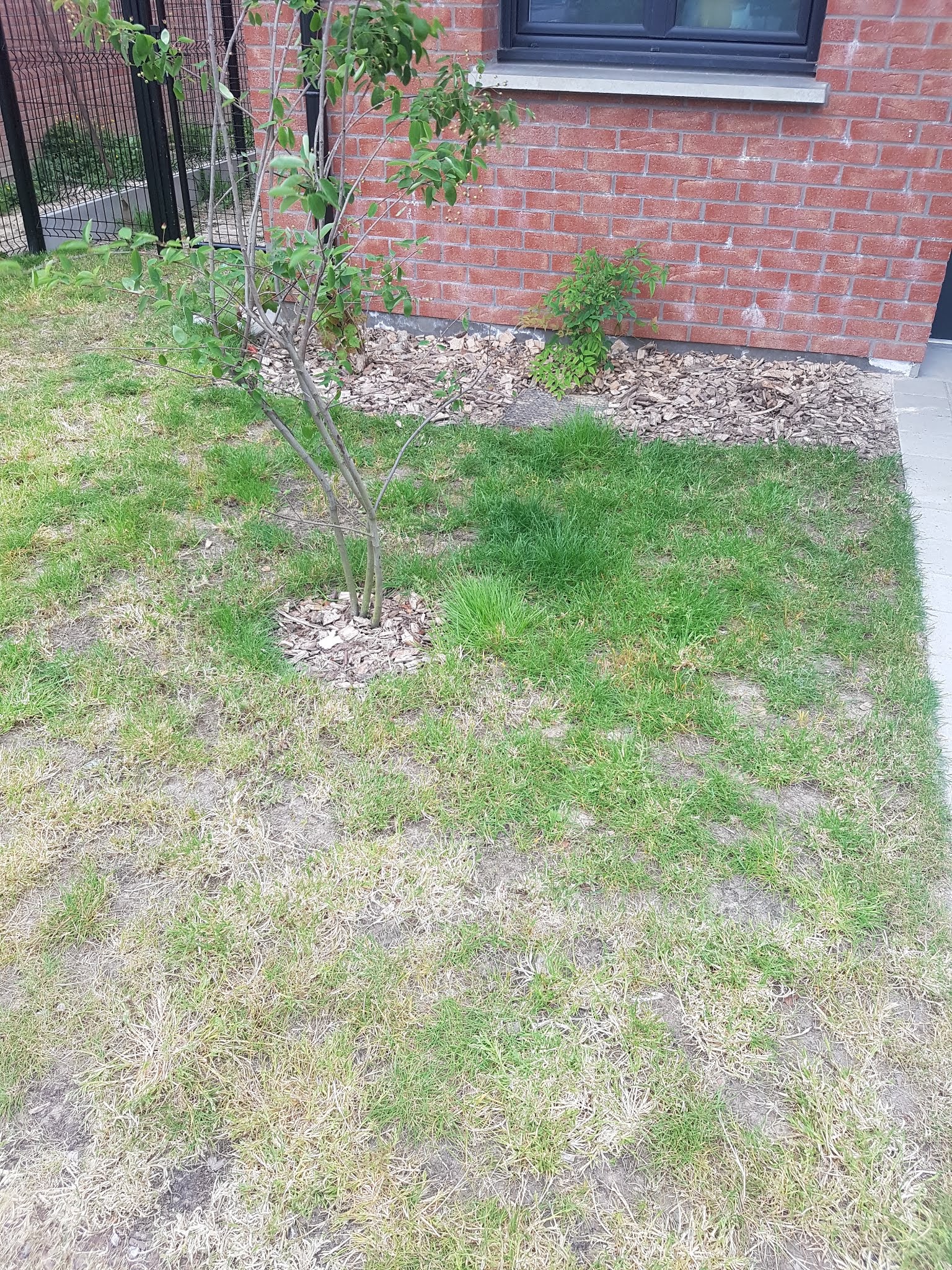 Photo n° 2 de l'avis de Jérémy.r fait le 22/05/2020 à 11:22