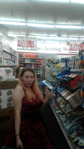 Dollar Store «Dollar Tree», reviews and photos, 623 S Cumberland St a, Lebanon, TN 37087, USA