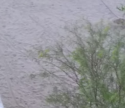 Rancho Los Laureles photo