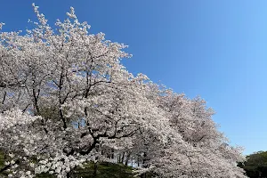 Negishi Forest Park image