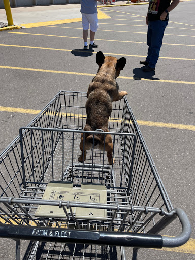 Pawn Shop «West Coast Pawn & Gun of Lakeland Florida», reviews and photos, 5619 US-98, Lakeland, FL 33809, USA