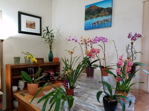 Florist «Island Orchids», reviews and photos, 2204 W Colorado Ave, Colorado Springs, CO 80904, USA