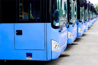 Eurolines à Offekerque