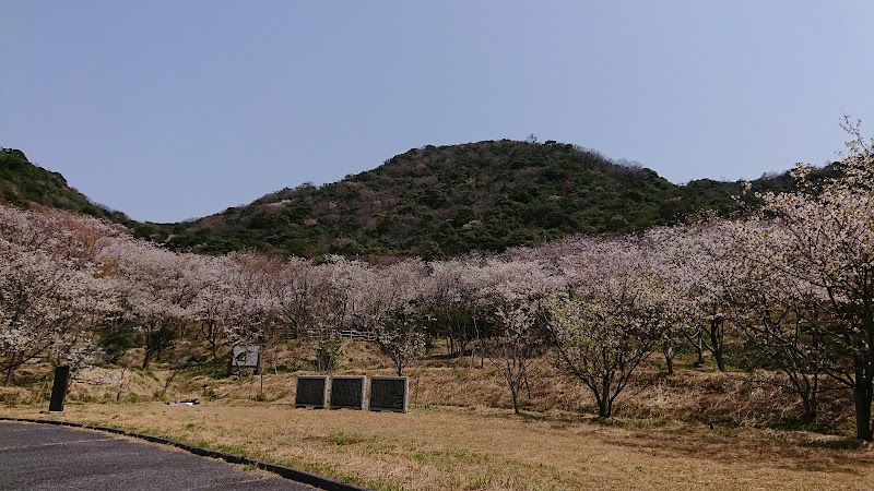 青海島 さくらの里