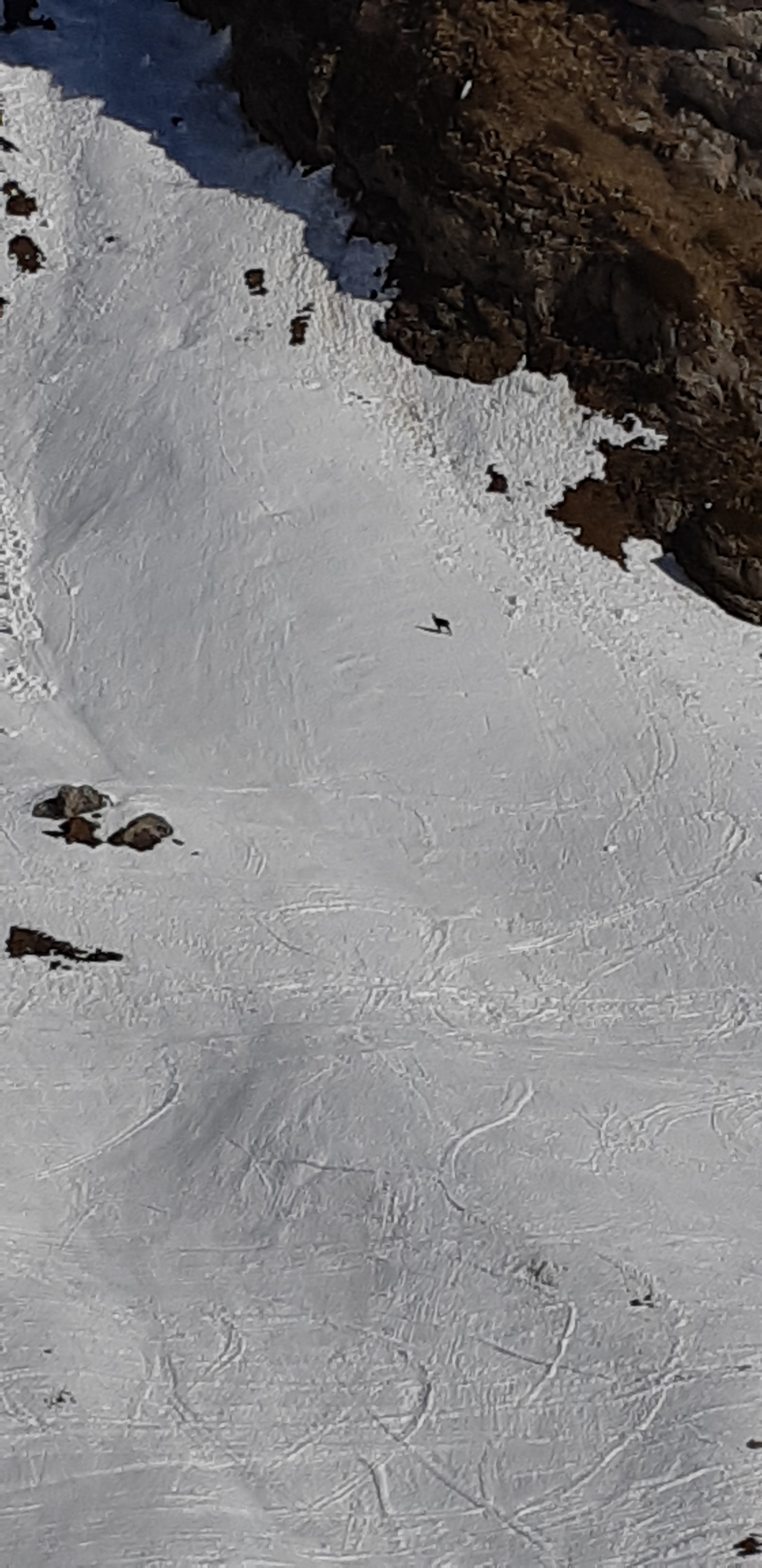 Photo n° 3 de l'avis de vavadurand.4 fait le 18/07/2019 à 15:41