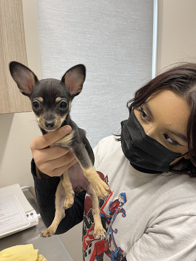 1350 E Chicago St #5, Elgin, IL 60120, USA