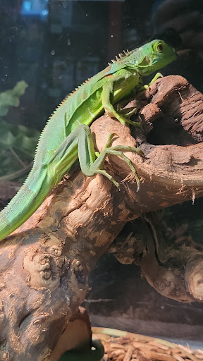 Pet Supply Store «College Greens Pet Center», reviews and photos, 3311 Julliard Dr # A, Sacramento, CA 95826, USA