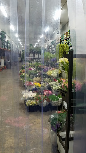 Florist «Jet Fresh Flower Distributors Inc.», reviews and photos, 2005 NW 70th Ave, Miami, FL 33122, USA