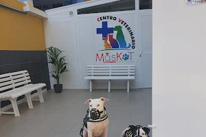 The PetShop Canarias image