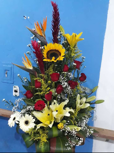 Florería Linda rosa – Chetumal