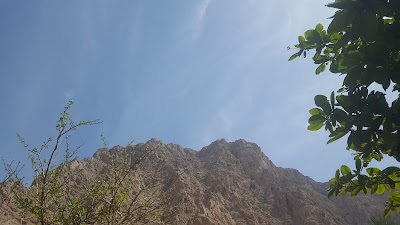 Photos of Masjid Saeed Al Hamidi - مسجد سعيد الحميدي