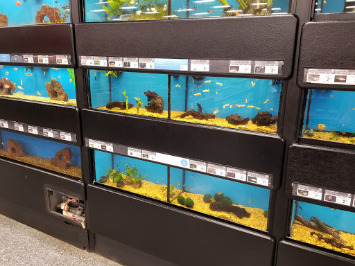 Pet Supply Store «Petco Animal Supplies», reviews and photos, 1815 Newport Blvd b, Costa Mesa, CA 92627, USA