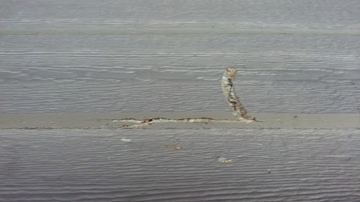 Hardware Store «Yeager Hardware», reviews and photos, 814 W Center St, Greenwood, AR 72936, USA