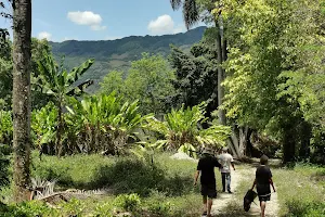 Taino Valley Tropical Park image