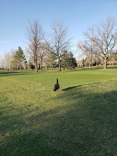 Golf Course «Flatirons Golf Course», reviews and photos, 5706 Arapahoe Ave, Boulder, CO 80303, USA