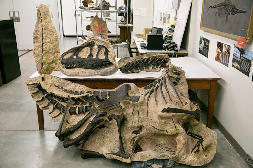 Natural History Museum «Natural History Museum of Utah», reviews and photos, 301 Wakara Way, Salt Lake City, UT 84108, USA