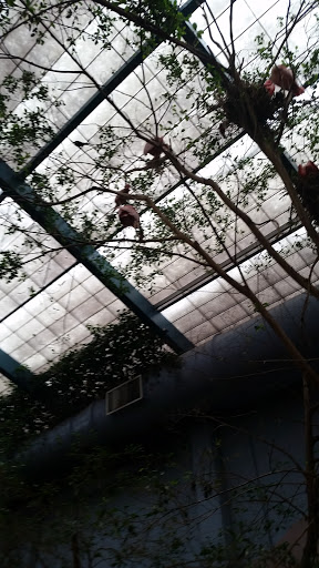 Golf Club «Stone Harbor Golf Club», reviews and photos, 905 U.S. 9, Cape May Court House, NJ 08210, USA