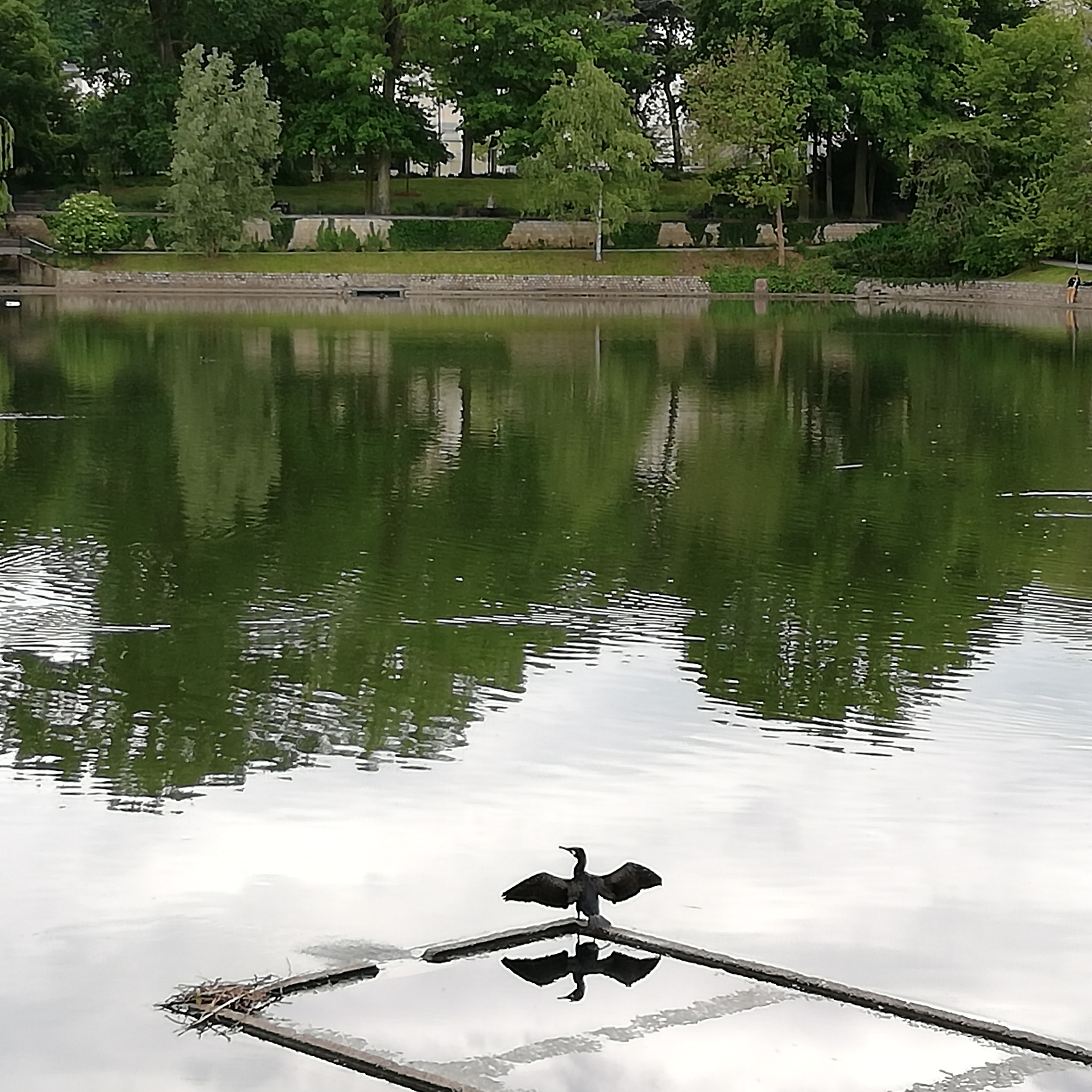 Photo n° 1 de l'avis de Patatraac.k fait le 19/05/2019 à 13:36