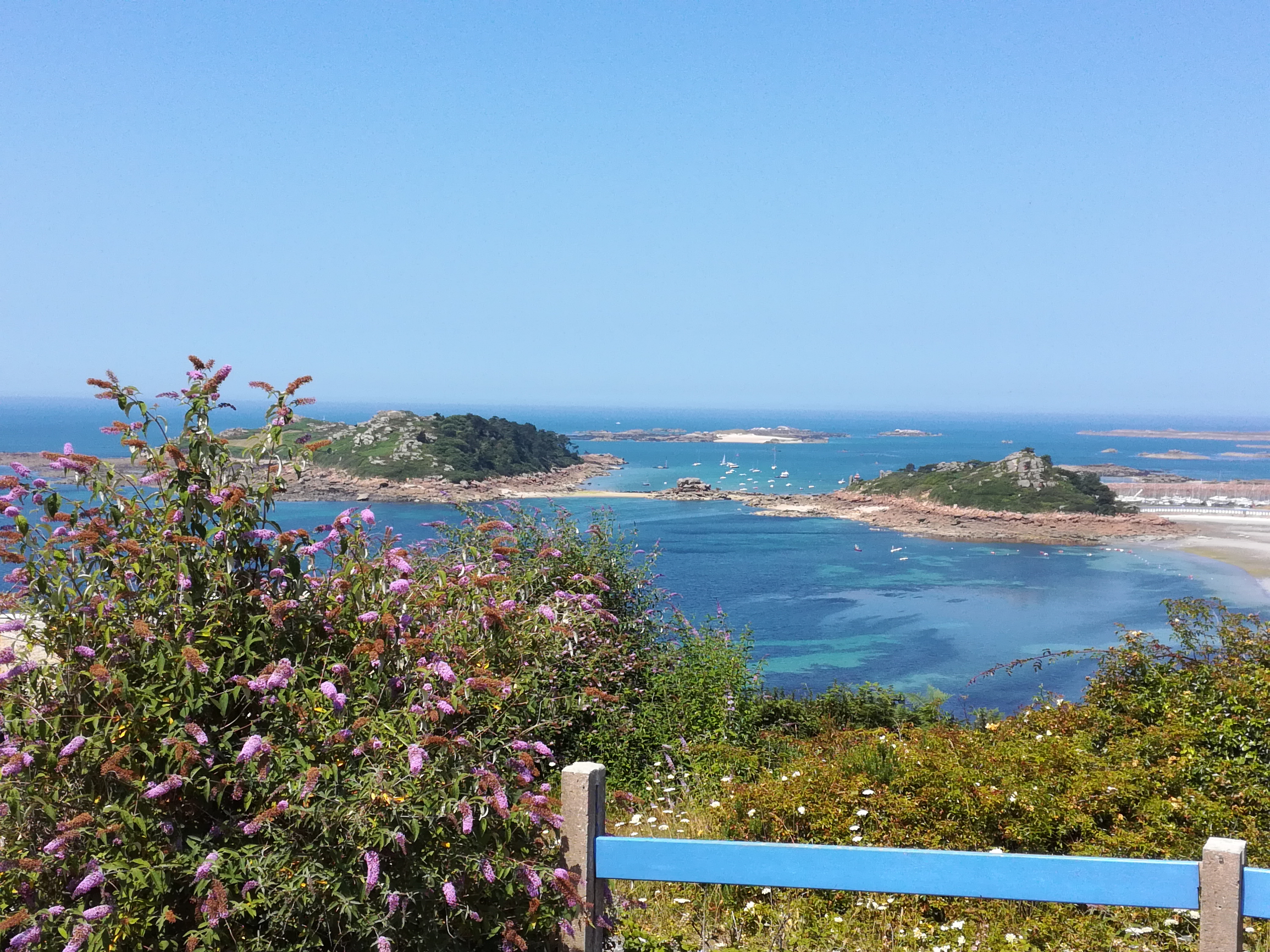 Photo n° 4 de l'avis de Regine.o fait le 12/07/2018 à 15:47