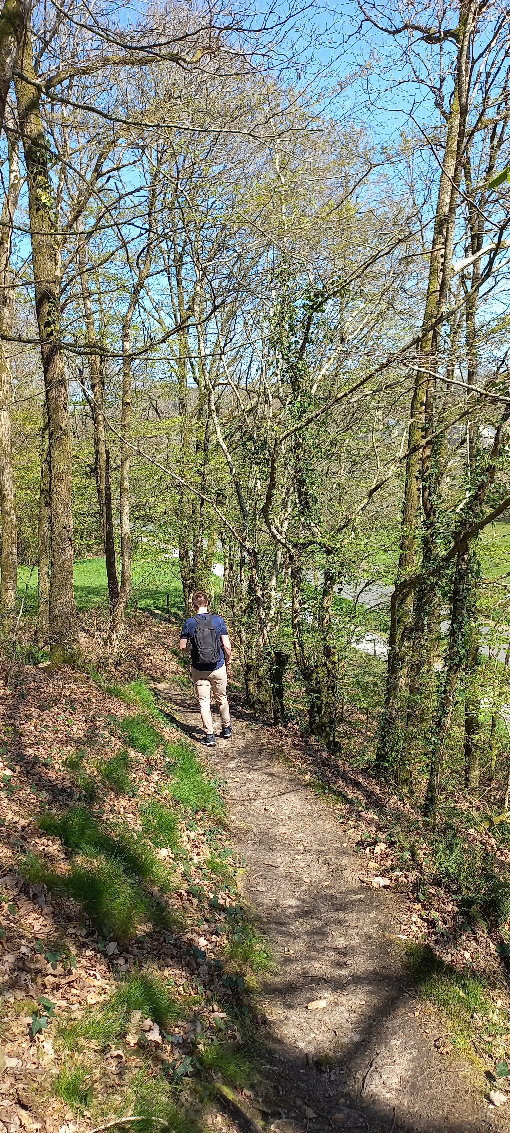 Photo n° 36 de l'avis de Françoise.o fait le 16/04/2023 à 15:18