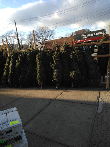 Florist «Jerome Florist & Gifts», reviews and photos, 3724 E Tremont Ave, Bronx, NY 10465, USA