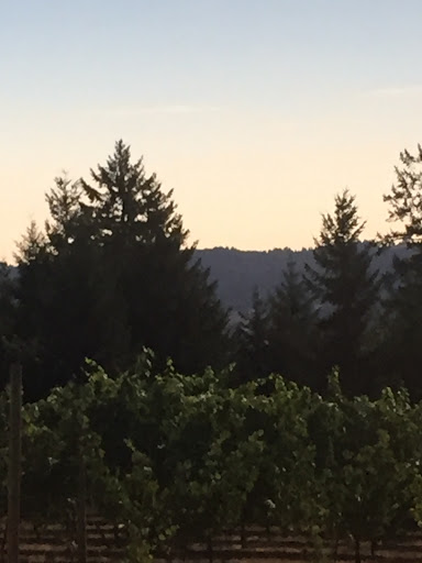 Winery «Kramer Vineyards», reviews and photos, 26830 NW Olson Rd, Gaston, OR 97119, USA
