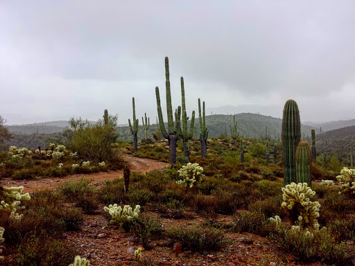 Tour Operator «Stellar Adventures», reviews and photos, 4026 E Broadway Rd, Phoenix, AZ 85040, USA