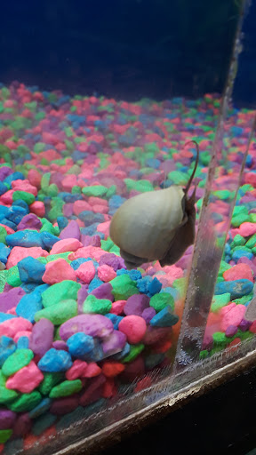 Pet Supply Store «PetSmart», reviews and photos, 476 Corwin Nixon Blvd, South Lebanon, OH 45065, USA