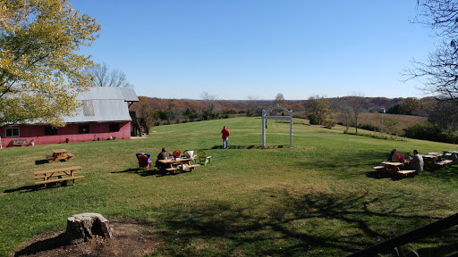 Winery «Wild Sun Winery», reviews and photos, 4830 Pioneer Rd, Hillsboro, MO 63050, USA