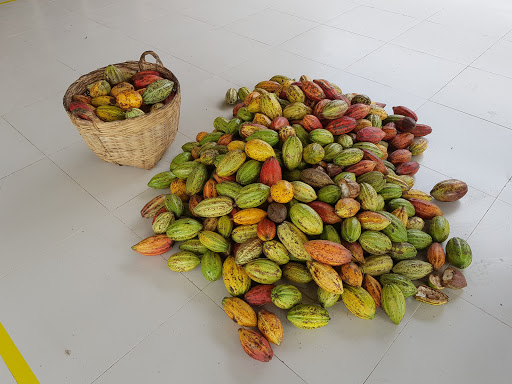 Top 20 cửa hàng bán socola Huyện Châu Thành Trà Vinh 2022