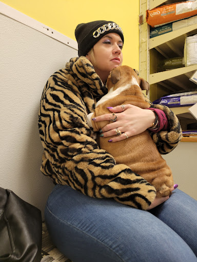 Pet Store «Yuppy Puppy Pet Shop», reviews and photos, 292 Frantz Rd, Stroudsburg, PA 18360, USA