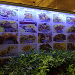 Photo n°4 de l'avis de Lord.c fait le 11/05/2018 à 19:52 sur le  Terrace Grill Restaurant Pizzeria à Eraclea Mare